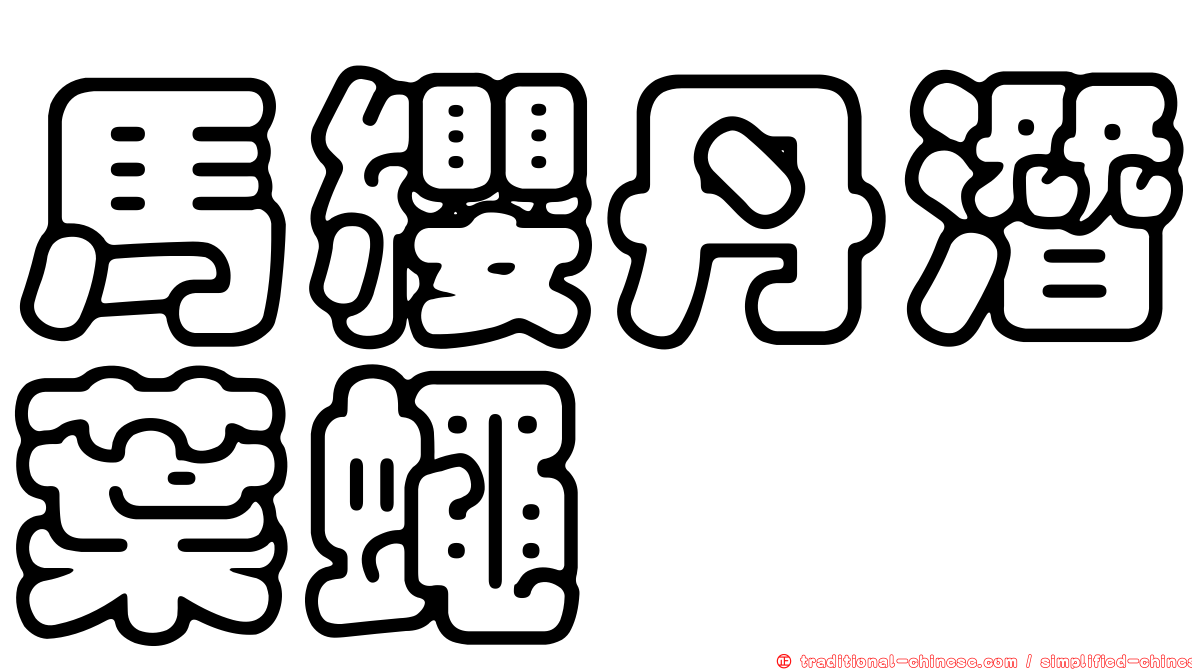 馬纓丹潛葉蠅