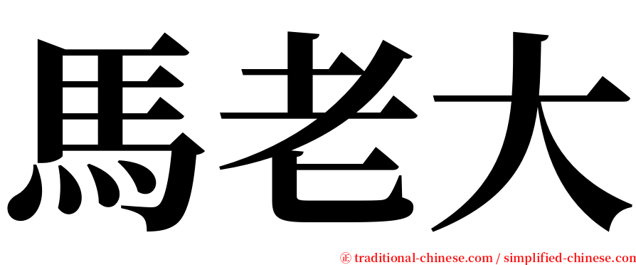 馬老大 serif font