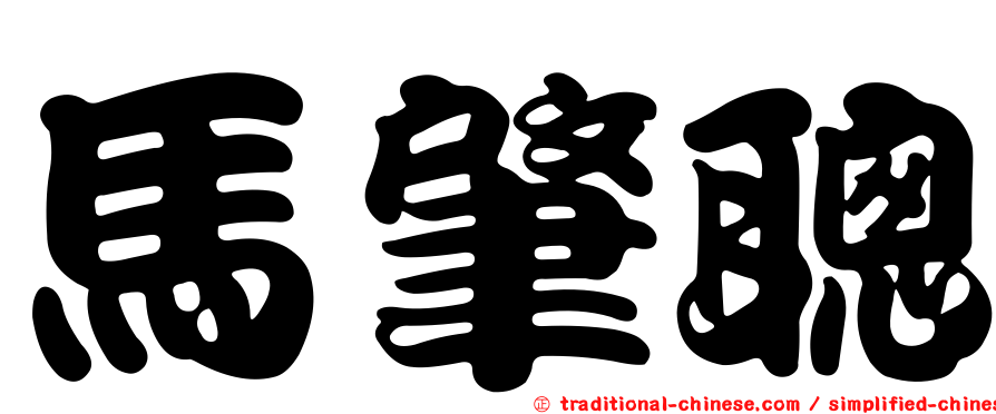 馬肇聰