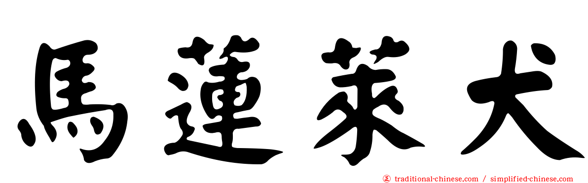 馬蓮萊犬