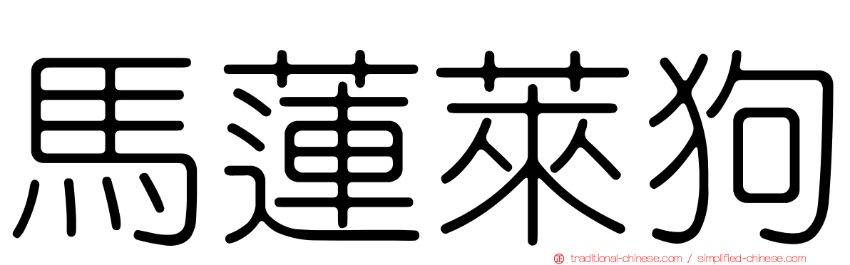 馬蓮萊狗