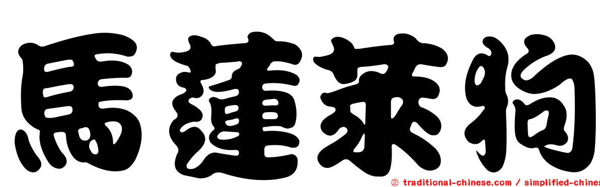 馬蓮萊狗