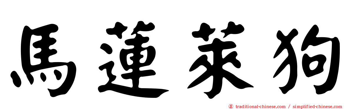 馬蓮萊狗
