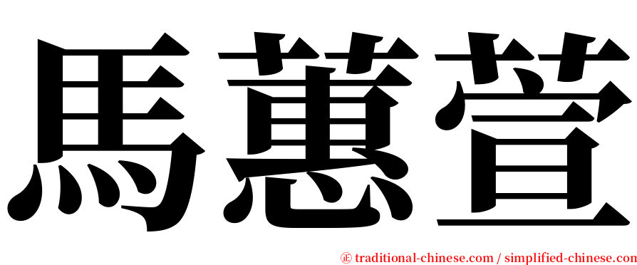 馬蕙萱 serif font
