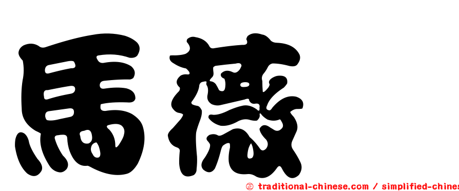 馬薇茜