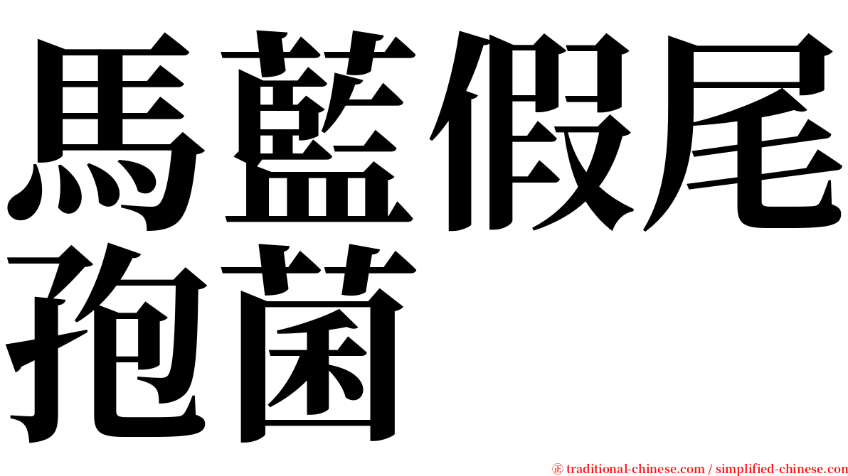 馬藍假尾孢菌 serif font