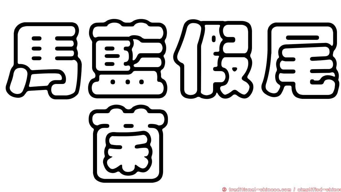 馬藍假尾孢菌