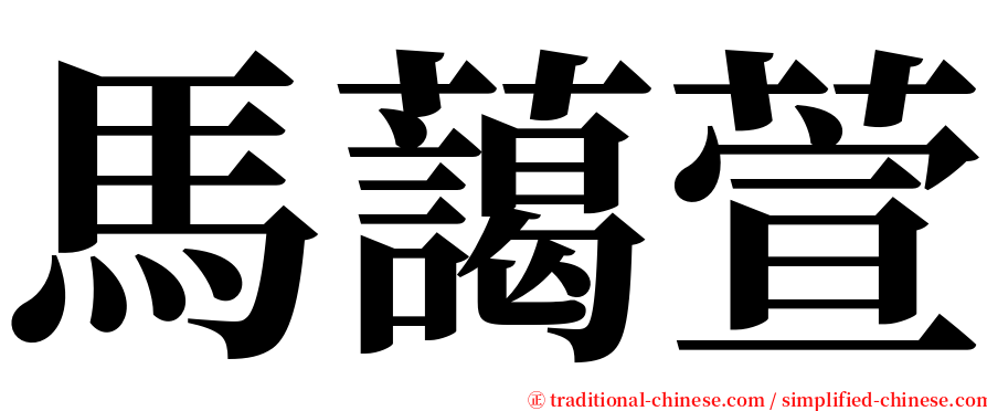 馬藹萱 serif font
