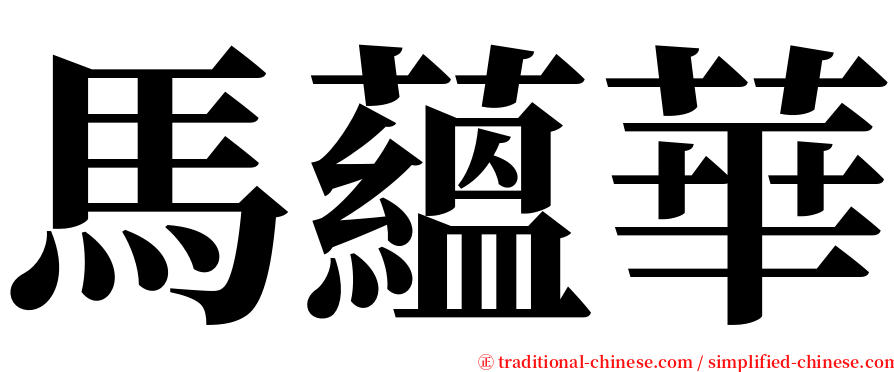 馬蘊華 serif font