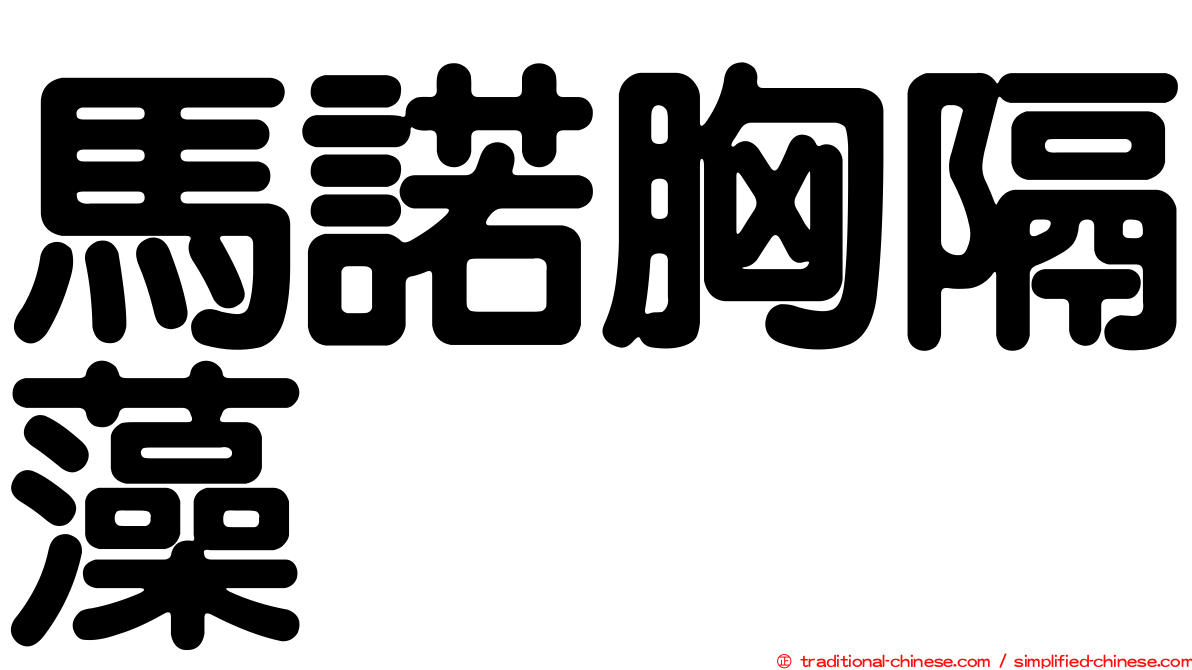 馬諾胸隔藻