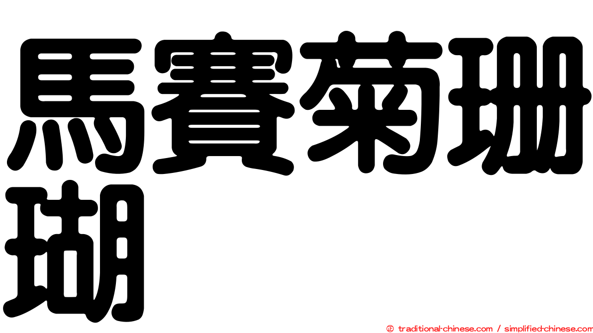 馬賽菊珊瑚