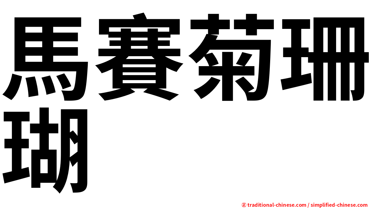 馬賽菊珊瑚