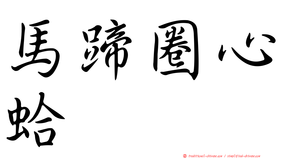 馬蹄圈心蛤