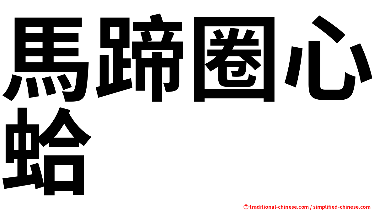 馬蹄圈心蛤