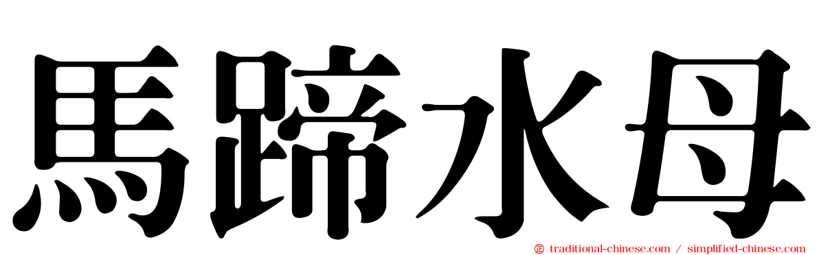 馬蹄水母