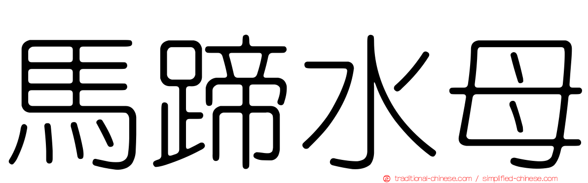 馬蹄水母