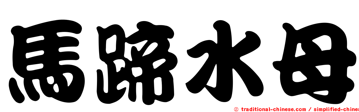馬蹄水母