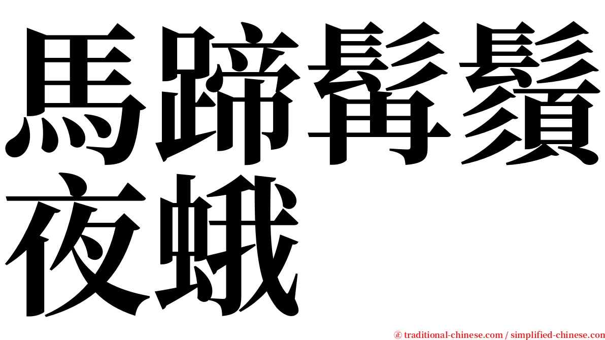 馬蹄髯鬚夜蛾 serif font