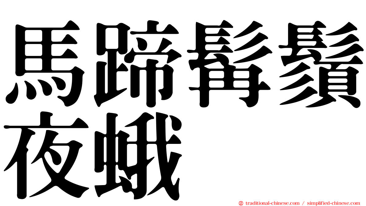 馬蹄髯鬚夜蛾