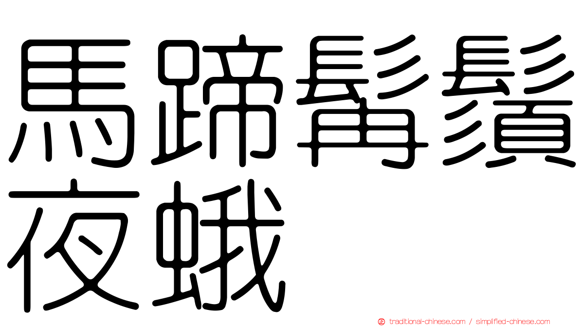 馬蹄髯鬚夜蛾