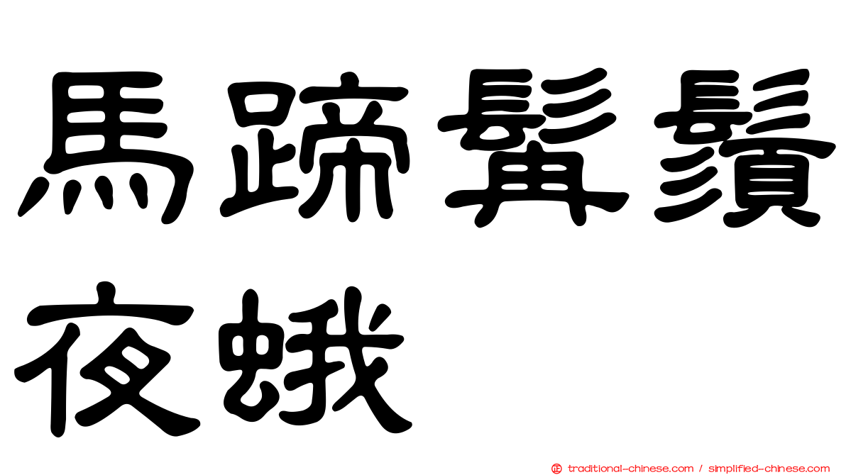 馬蹄髯鬚夜蛾