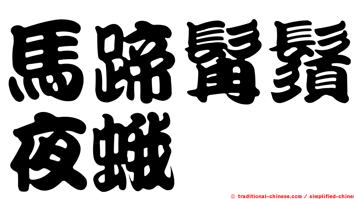 馬蹄髯鬚夜蛾
