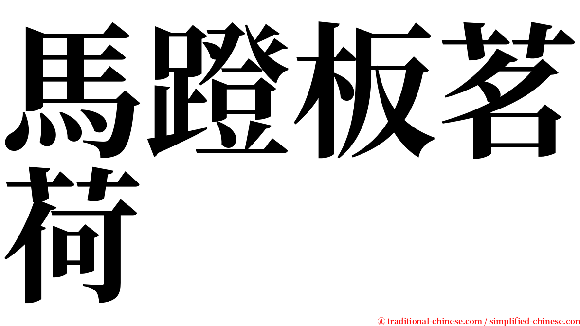 馬蹬板茗荷 serif font
