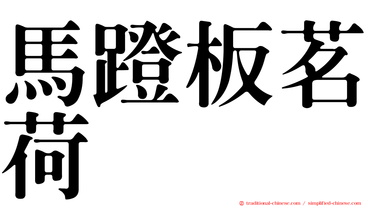 馬蹬板茗荷