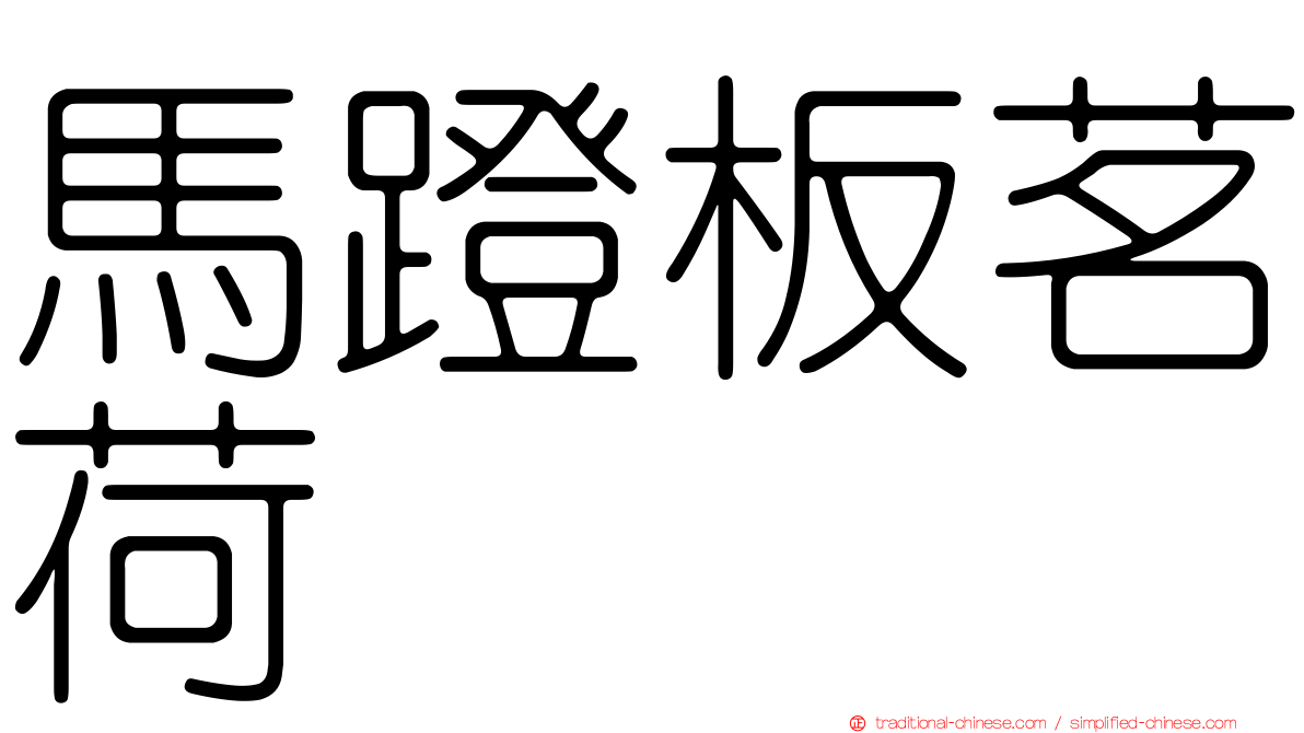 馬蹬板茗荷