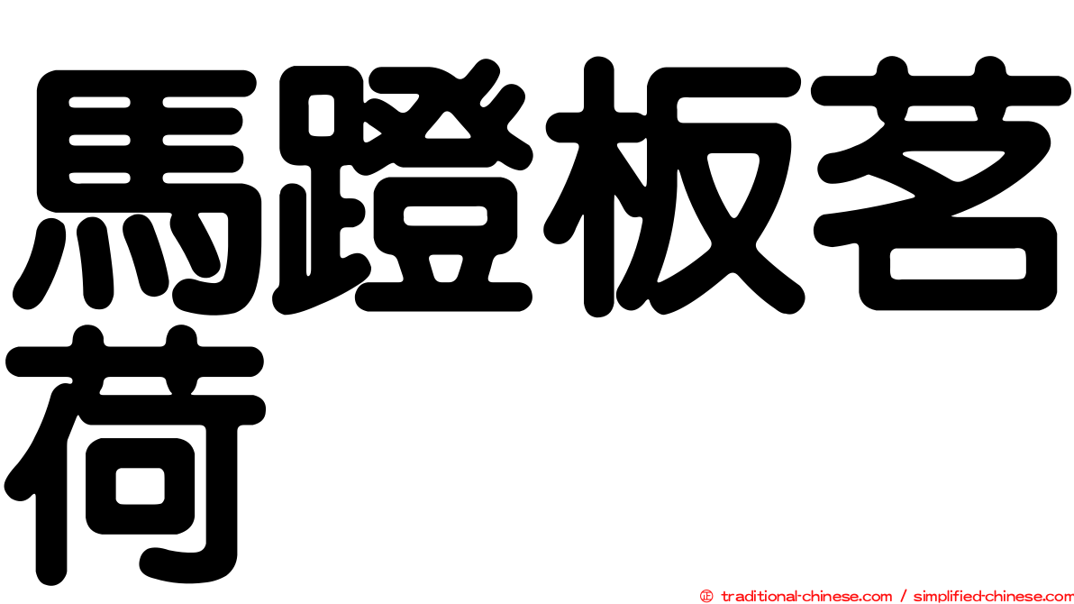馬蹬板茗荷