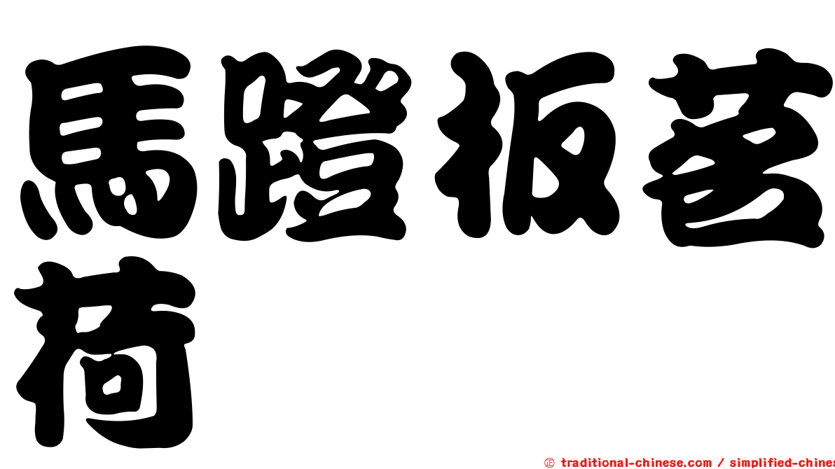 馬蹬板茗荷
