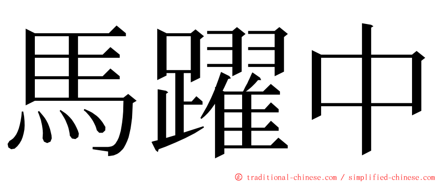 馬躍中 ming font