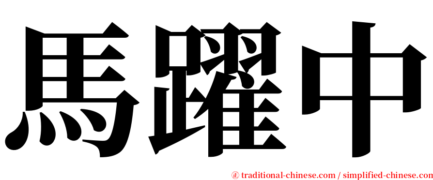 馬躍中 serif font