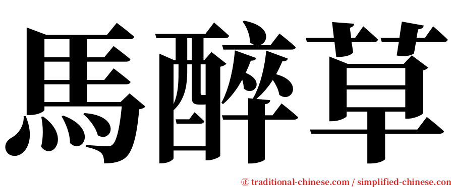 馬醉草 serif font