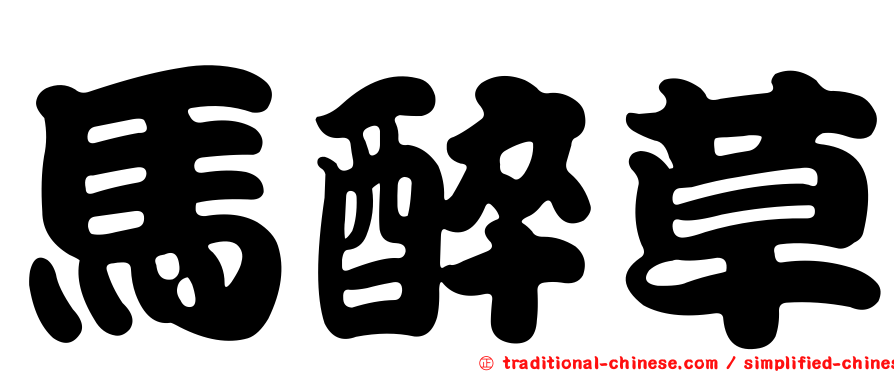 馬醉草