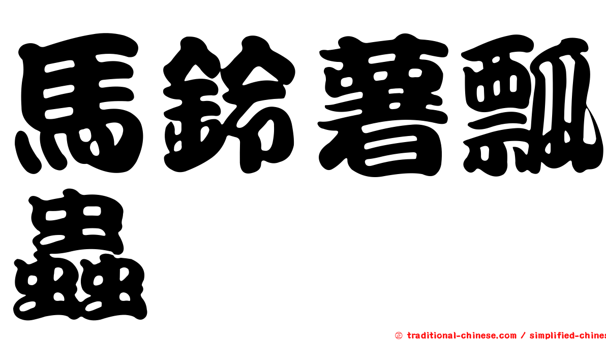馬鈴薯瓢蟲