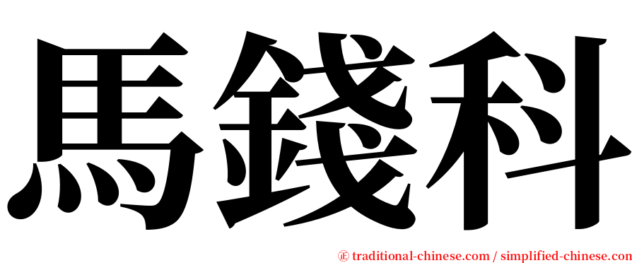 馬錢科 serif font