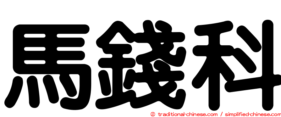 馬錢科
