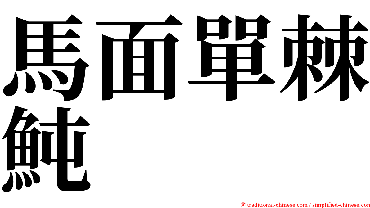 馬面單棘魨 serif font