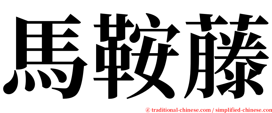 馬鞍藤 serif font