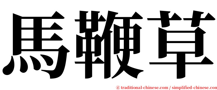 馬鞭草 serif font