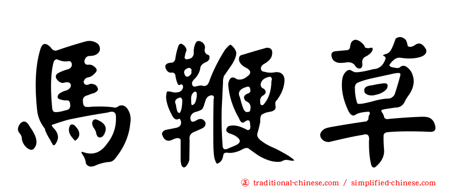 馬鞭草
