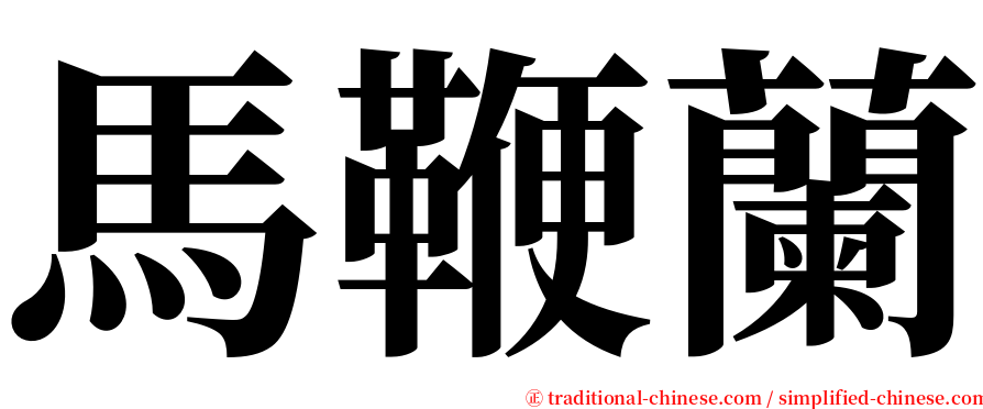 馬鞭蘭 serif font