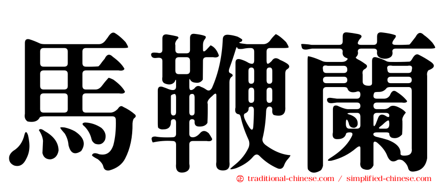 馬鞭蘭