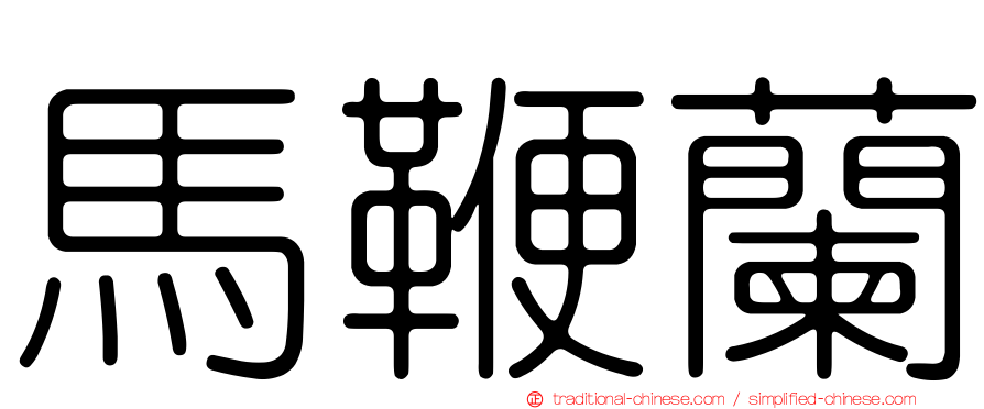 馬鞭蘭
