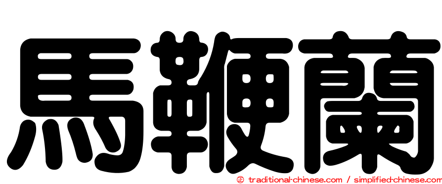 馬鞭蘭