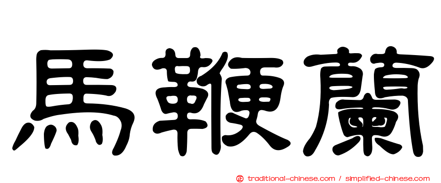 馬鞭蘭