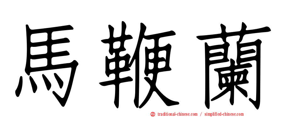 馬鞭蘭