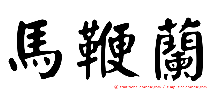 馬鞭蘭
