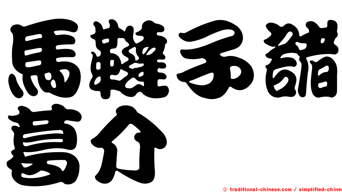 馬韃子諸葛介